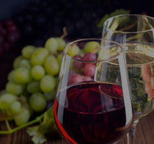 Wein